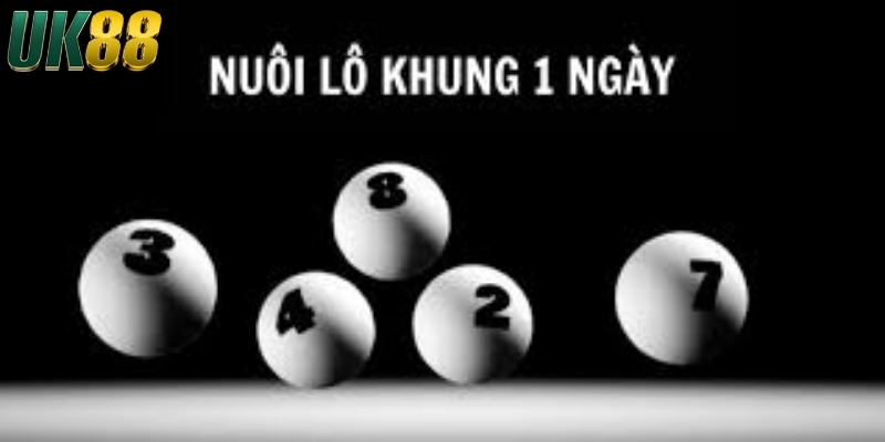 Tổng quan về cách nuôi lô khung 1 ngày tại UK88