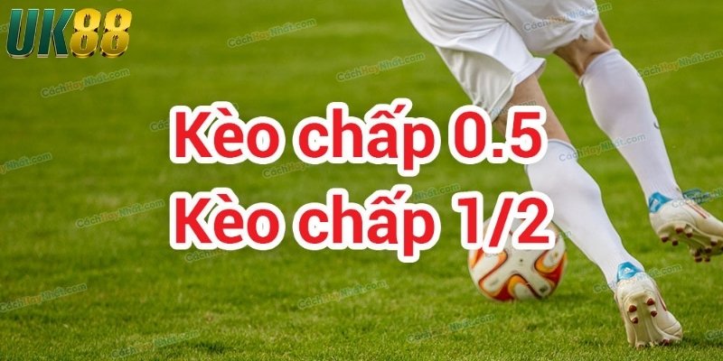 Cách chơi kèo chấp nửa trái hiệu quả nhất