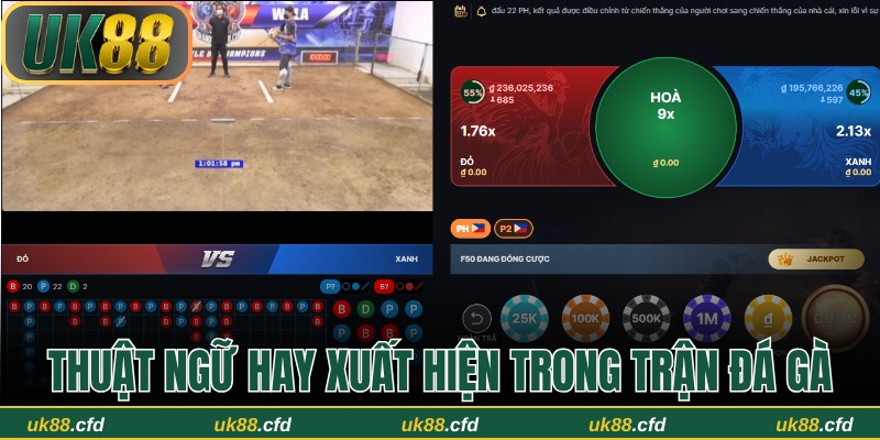 Thuộc lòng các thuật ngữ hay xuất hiện trong trận đấu